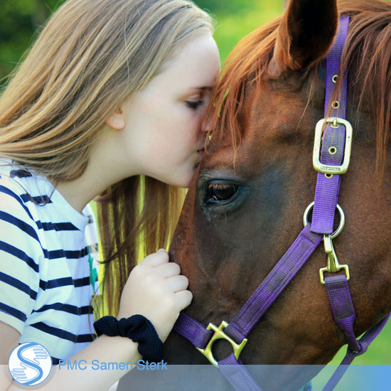 PMS Samen Sterk Druten Paardencoahing